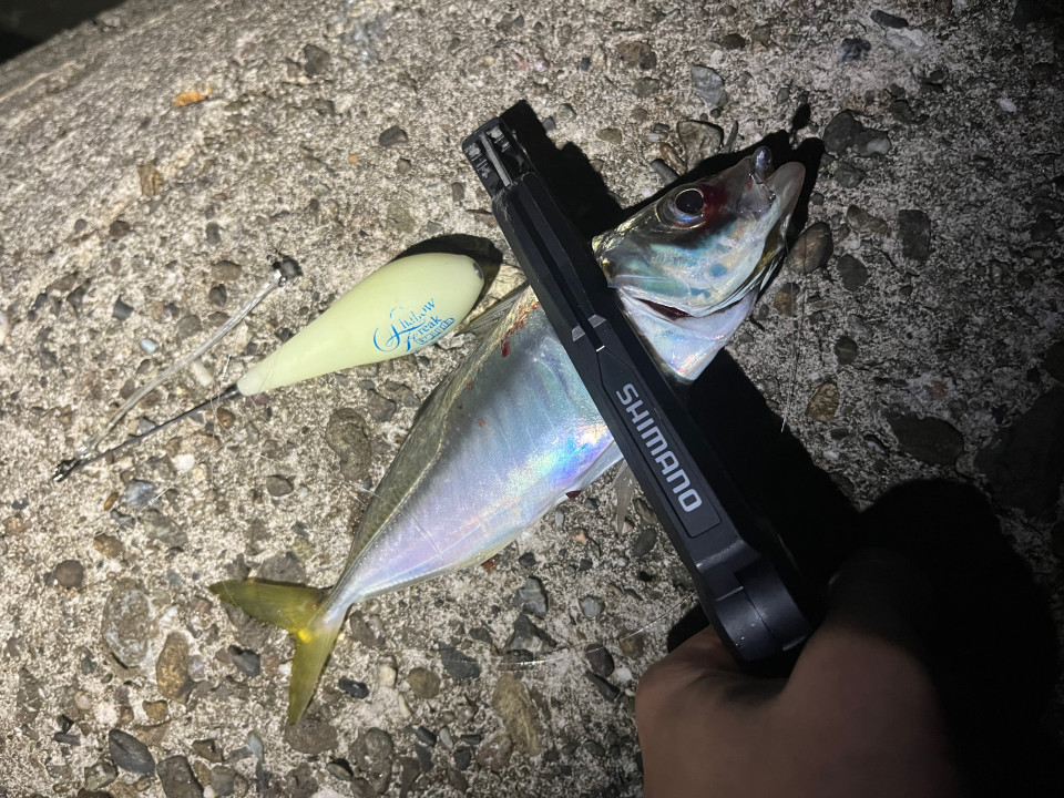 knr_fishoe's tweet image. イージーシェイカー新色くっそ釣れる！！！！
（なおサイズ）
#keitech