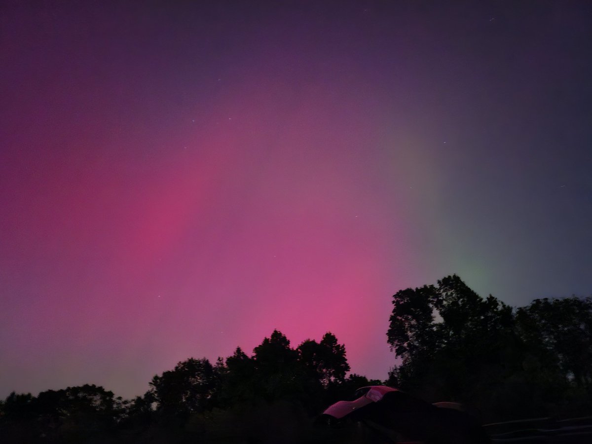 Maria Jose Talayero tweet media