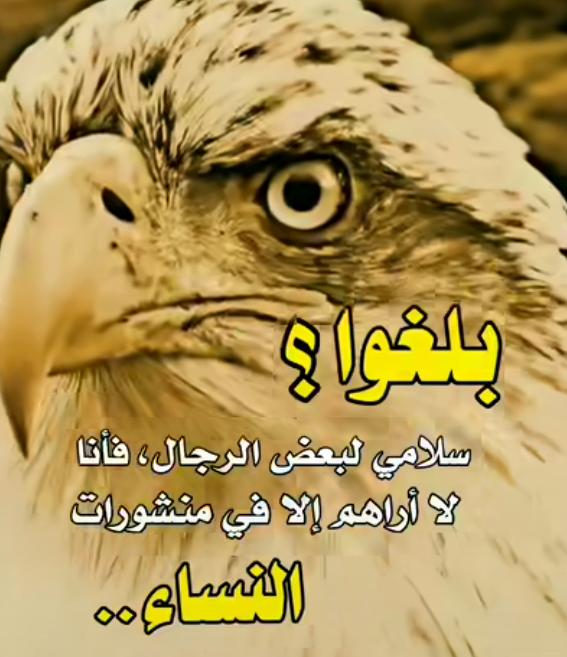 المقترب (@hseed57735) on Twitter photo 