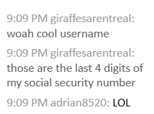 snow-covered aylin tweet media