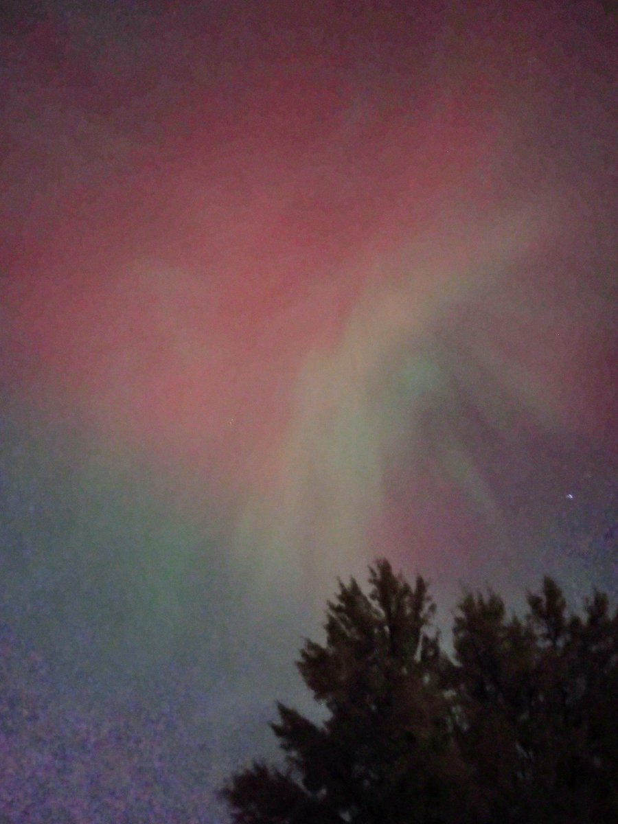 My front yard right now!