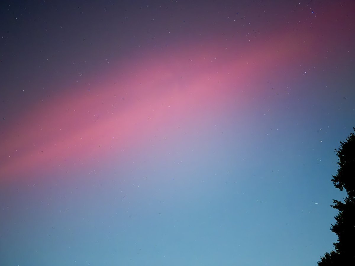 Joshua Landau tweet media