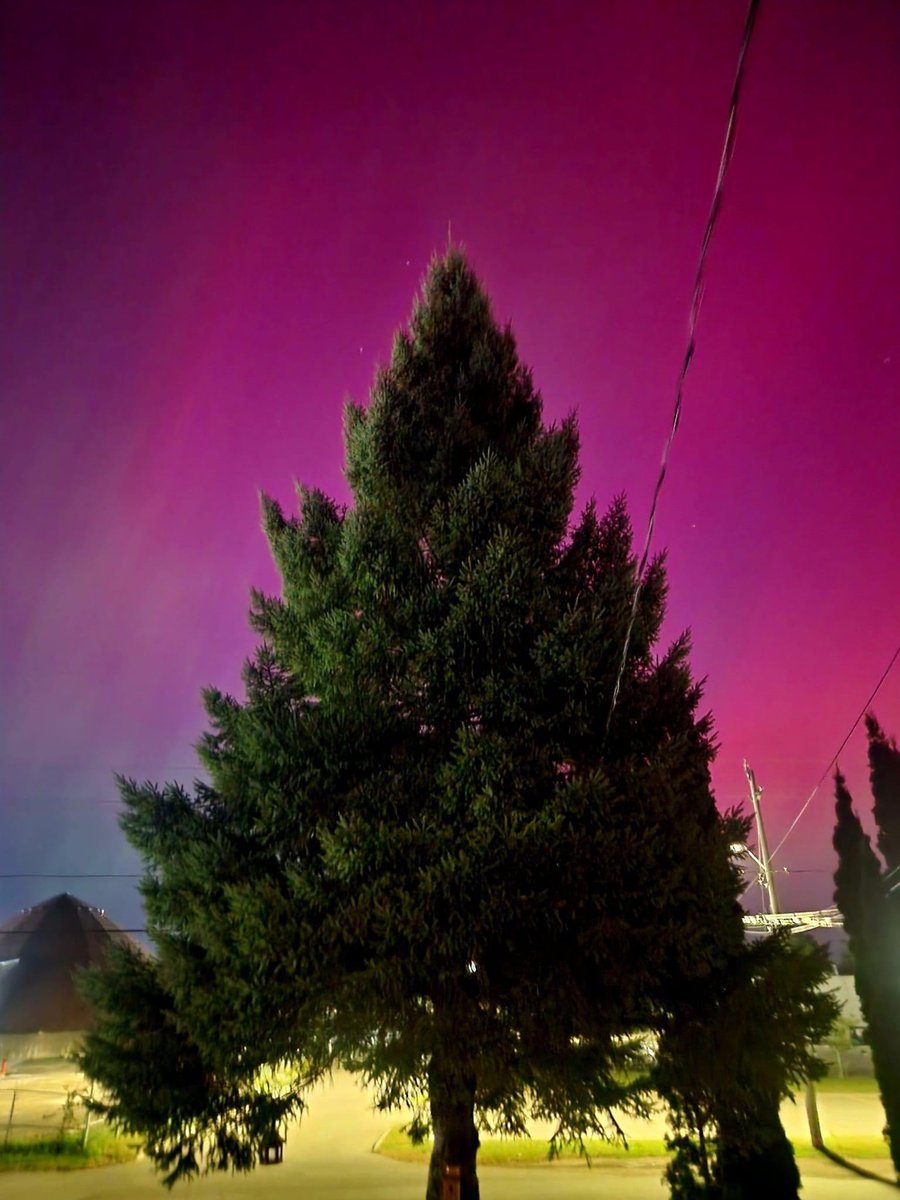 Qaddoura10's tweet image. Absolutely surreal nature’s most beautiful light show. 🌌✨   
#AuroraMagic #northernlights