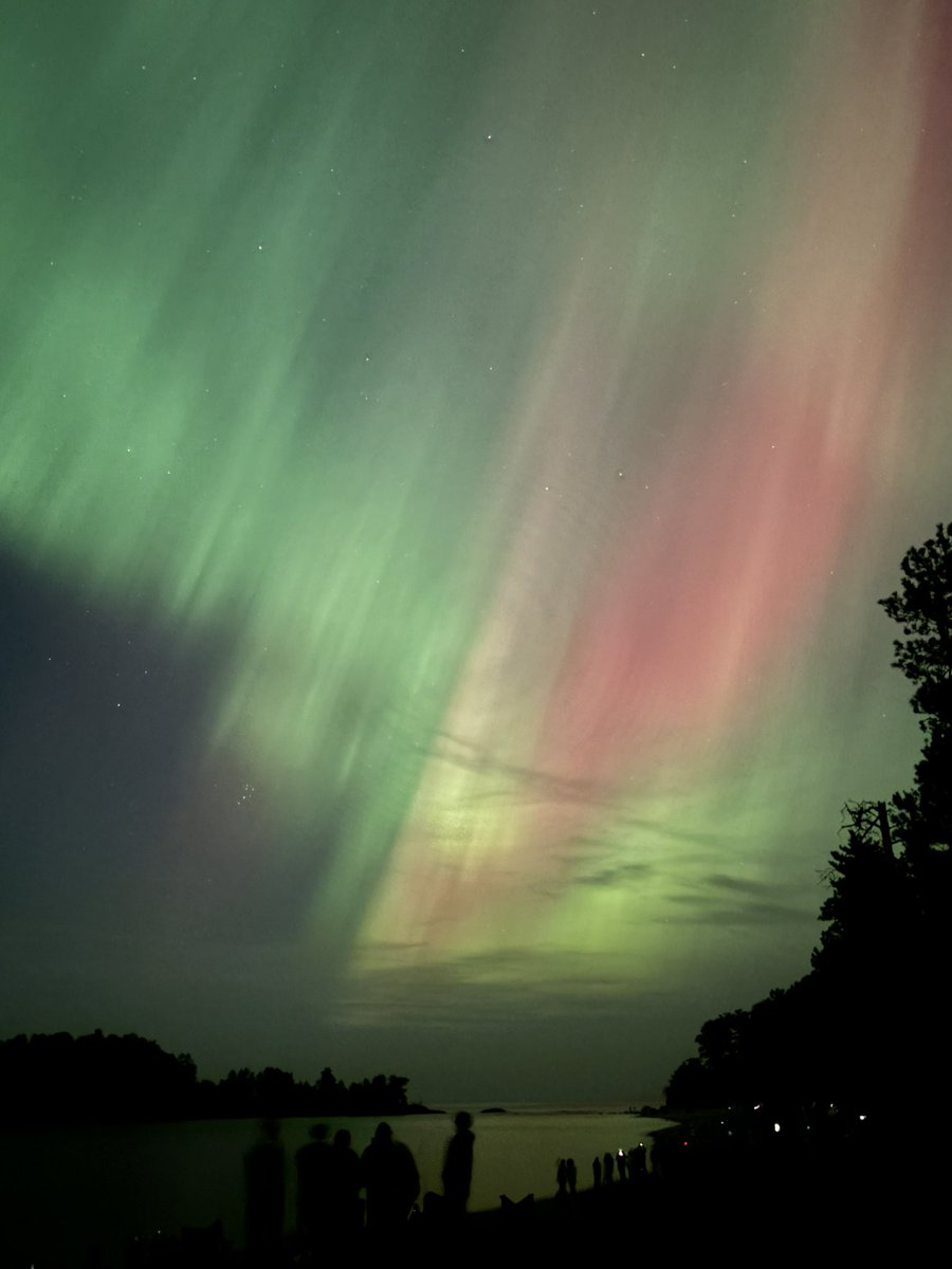 Sarah Manzo tweet media