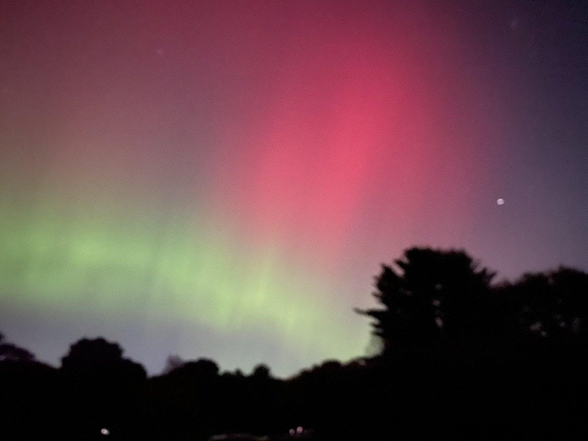 BiospaceC's tweet photo. Northern lights in Low Lincoln https://t.co/AfgnnshrvM