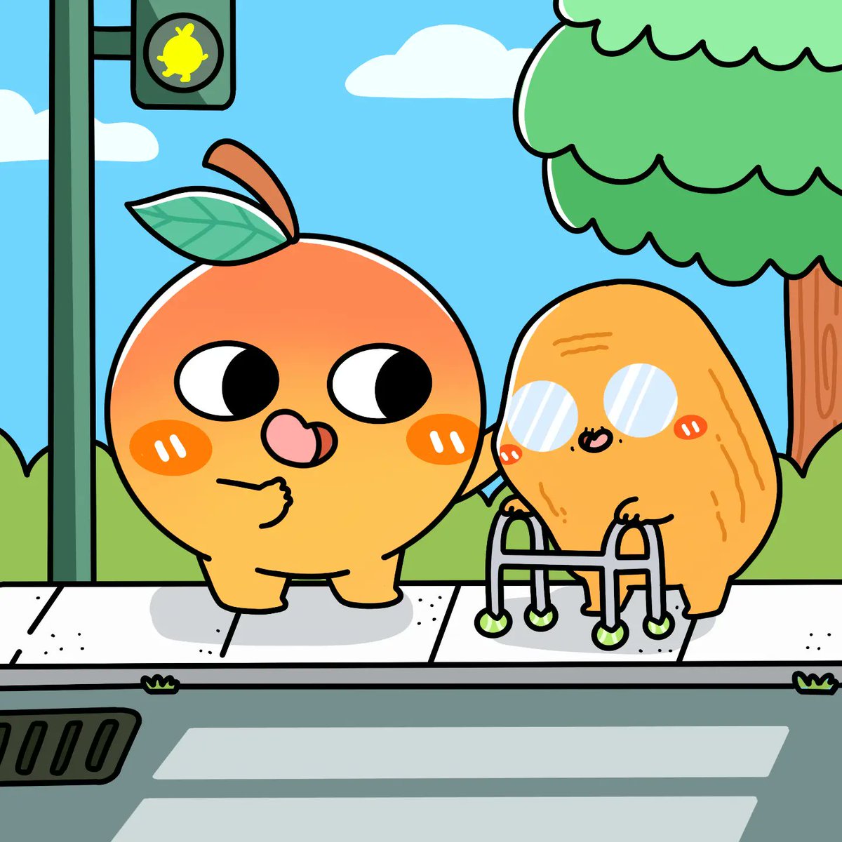 Young Apricot and Old Dried Apricot !