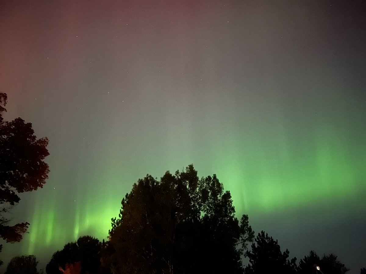 Prof. Simon Carn tweet media