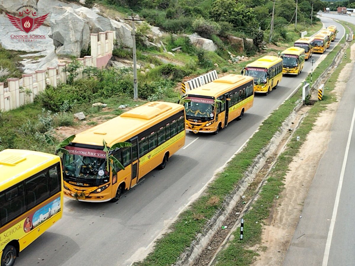 CandorPublic's tweet image. On this auspicious occasion of Ayudha Pooja,we honor the tools of knowledge, learning, and progress. It’s a time to reflect on the importance of hard work, dedication, and gratitude for the instruments that help us achieve success.
#AyudhaPooja #CandorFamily #TraditionAndLearning