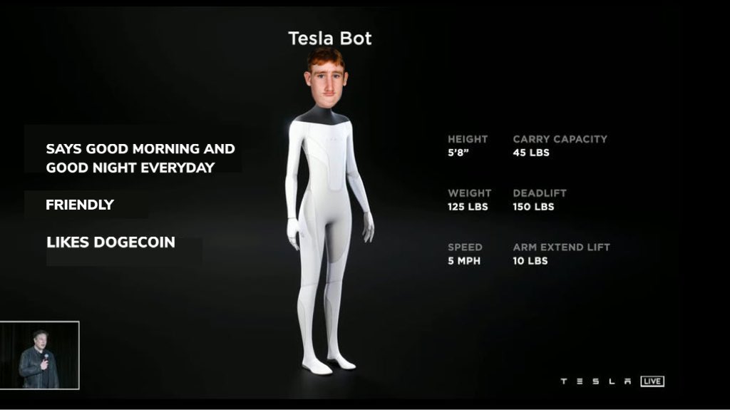 Are you ready for a future of Tesla Bots running around everywhere?