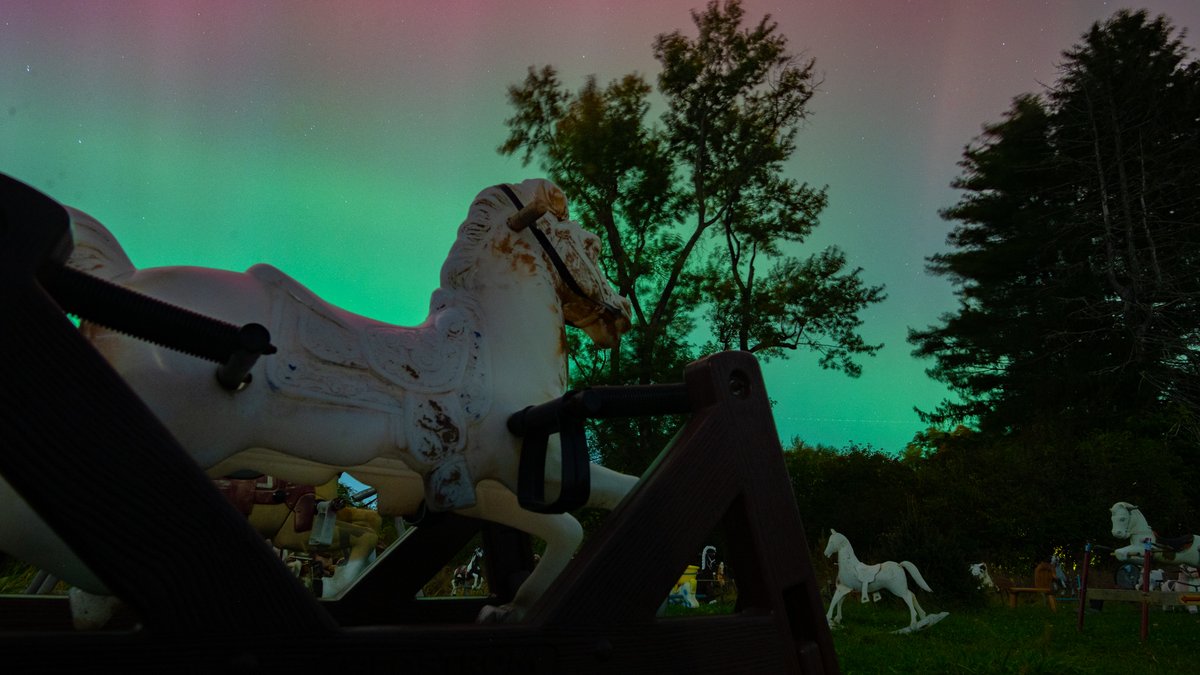 davethompson77's tweet photo. 💖🎶This night is flawless. Don't you let it go. I'm wonderstruck dancing 'round all alone. I'll spend forever wondering if you knew I was enchanted to meet you. 🎶💖

"Ponyhenge" in Lincoln, Mass.

#Aurora #NorthernLights #Ponyhenge #Massachusetts #Enchanted #TaylorSwift https://t.co/PiKWblELlM