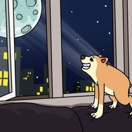 不经历磨难，又何谈涅槃？

memecoin究竟该选社区还是选VC
我想大家心里都有呼之欲出的答案
大部分人嘴上喊着“社区是meme的未来”
身体却诚实的想要搭VC们的顺风车

社区建设之难 
在于是否有合格的领袖们愿意站出来
他们需要有不屈的意志和项目推进能力
此时出现了最核心的悖论
可如果不是VC