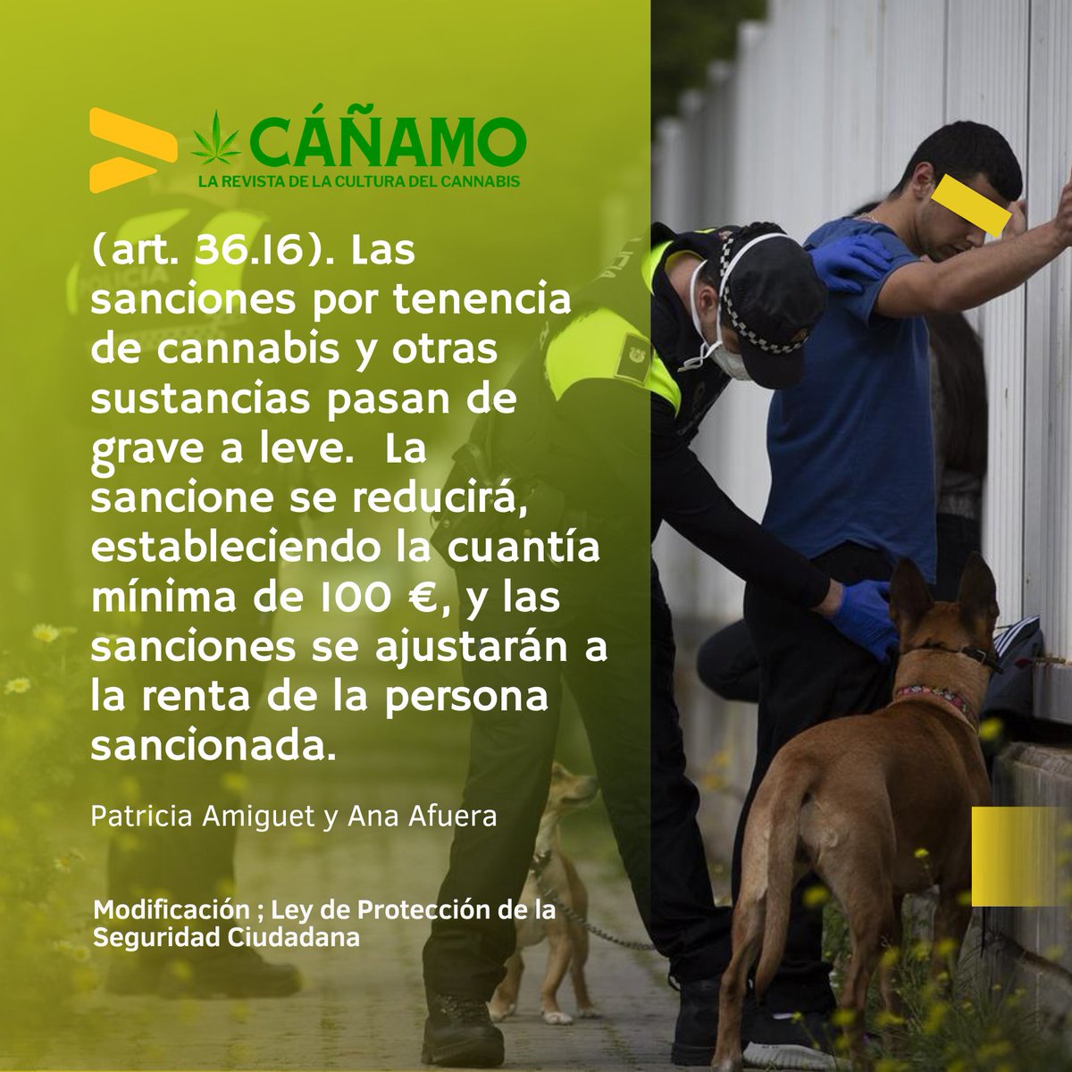 FederacionFAC's tweet photo. ✒ @revistacanamo https://t.co/HtOU1QXSCc
(art. 36.16) Las sanciones por tenencia de cannabis y otras sustancias pasan de grave a leve. La sancione se reducirá, estableciendo la cuantía mínima de 100 € y las sanciones se ajustarán a la renta de la persona sancionada
#LeyMordaza https://t.co/Y2yxFUZyXd