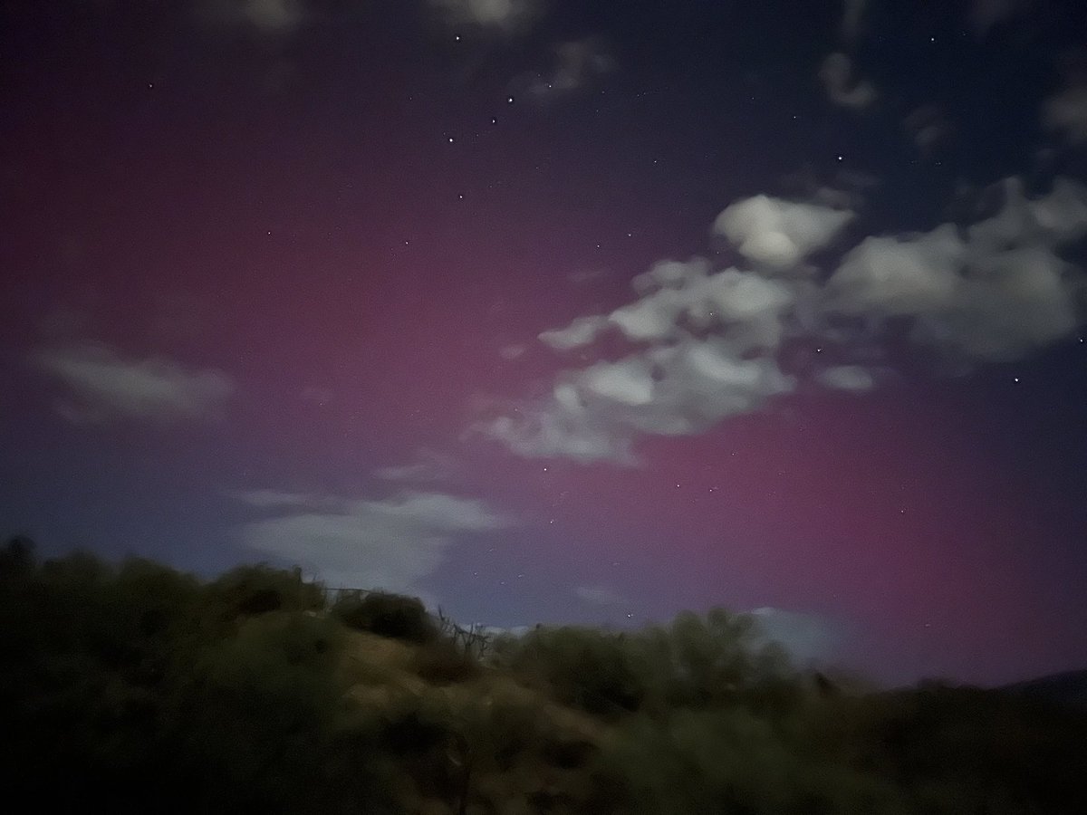 Lori Harty tweet media