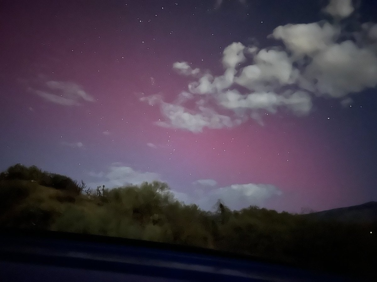 Lori Harty tweet media