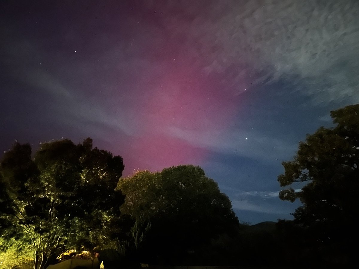 Christine Riley tweet media