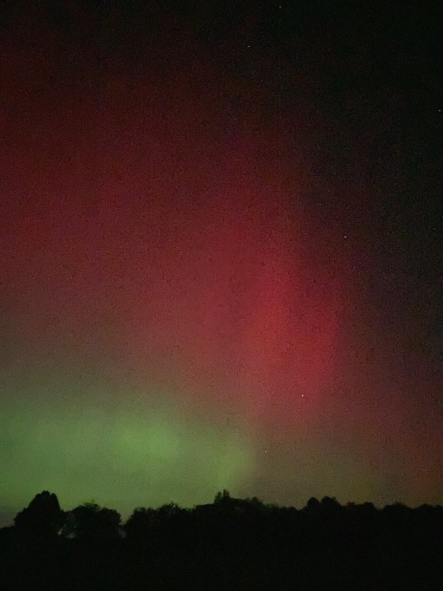 bria 🌿 tweet media