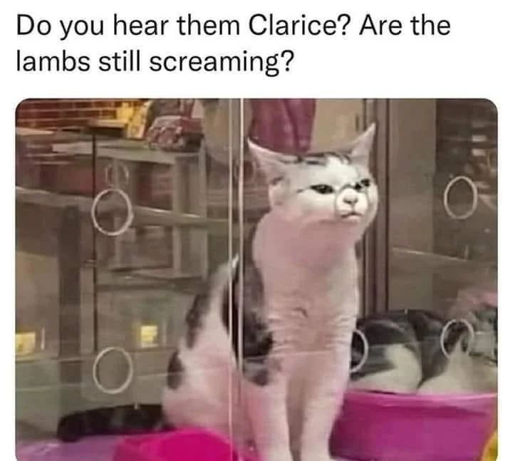 WholesomeMeme's tweet image. 