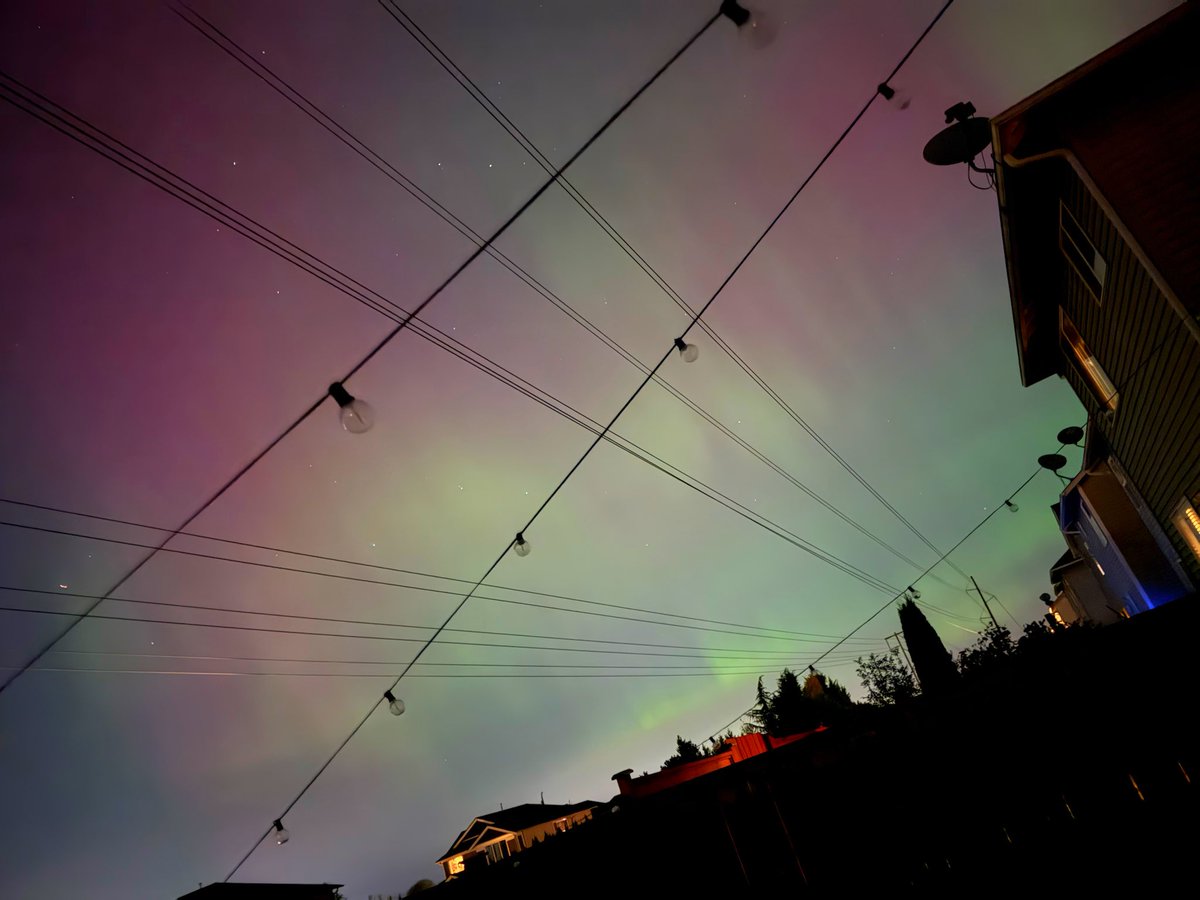 Liana Ruppert tweet media