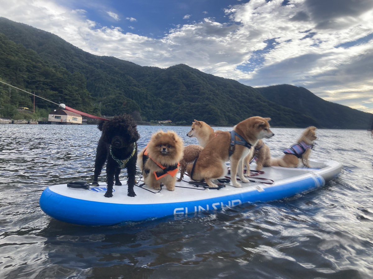 OneCafeNow's tweet photo. 華麗家sup部
随時メンバー募集中 https://t.co/FLUT1gdcJB