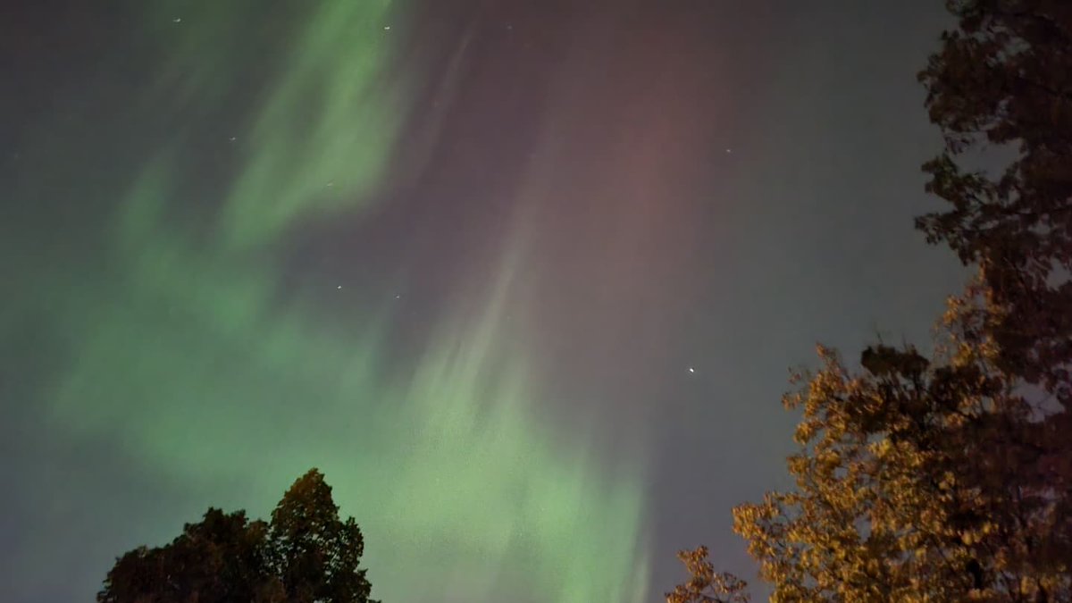 JayHyunEcon's tweet photo. Today's northern lights are absolutely stunning!!
#Canada #Alberta #Edmonton #northernlights #aurora https://t.co/hebzX8wZ9j
