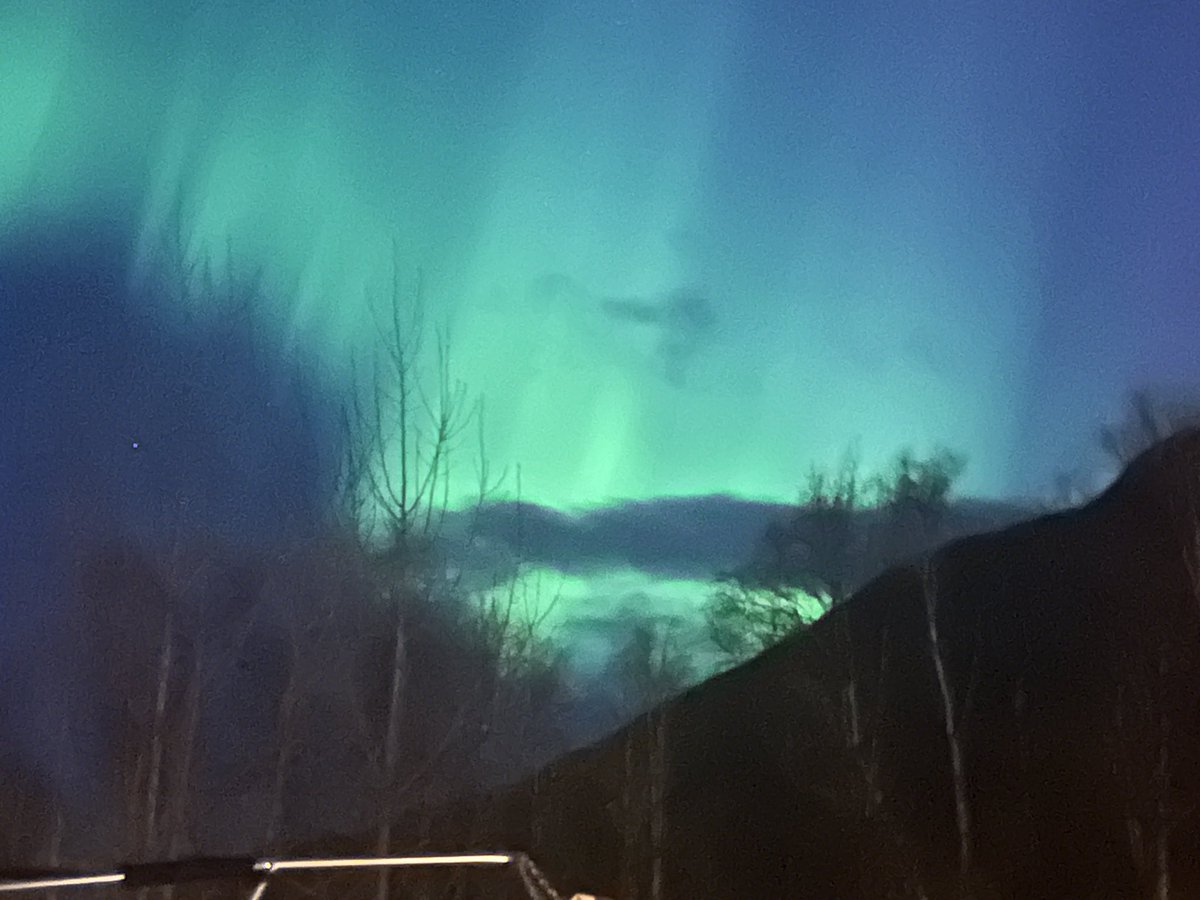 mastens_ak's tweet photo. The Aurora Borealis is out and so vibrant! Those dancing lights are bewitching.
#alaska https://t.co/7ibM2a4UeT
