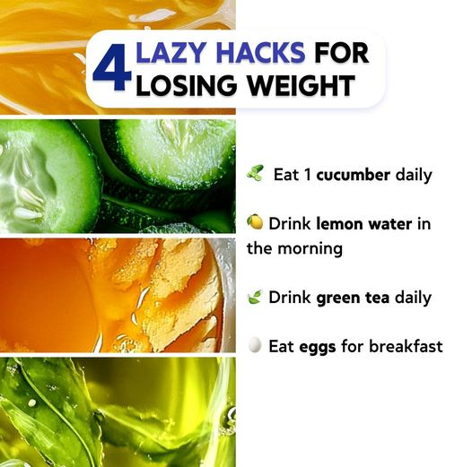 OmoWeightloss's tweet photo. Keep 4 lazy weight loss life hacks for this October👇
🥒 Have 1 cucumber a day
🍋 Start your morning with lemon water
🍃 Sip on green tea daily
🥚 Enjoy eggs for breakfast
Explore more tips for a healthier lifestyle at the link - https://t.co/TZrHQ9ZxVX
#omoapp #nutritiontips https://t.co/keVv5l22r0