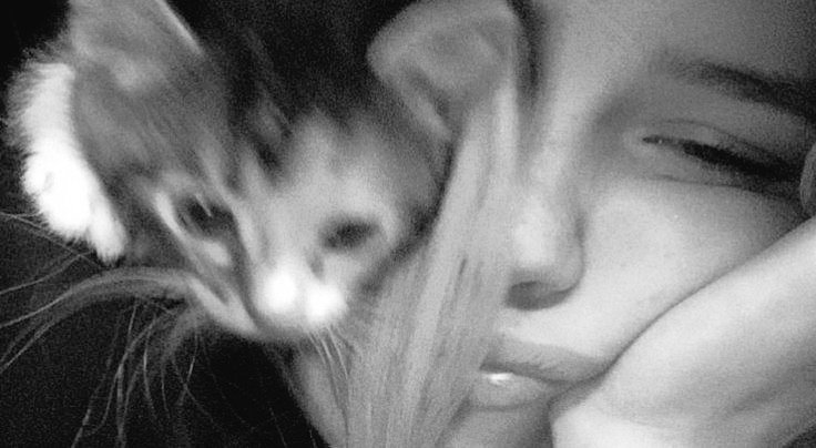 ‌‌𝖯𝖺𝗋𝗏𝖺 ‌ tweet media