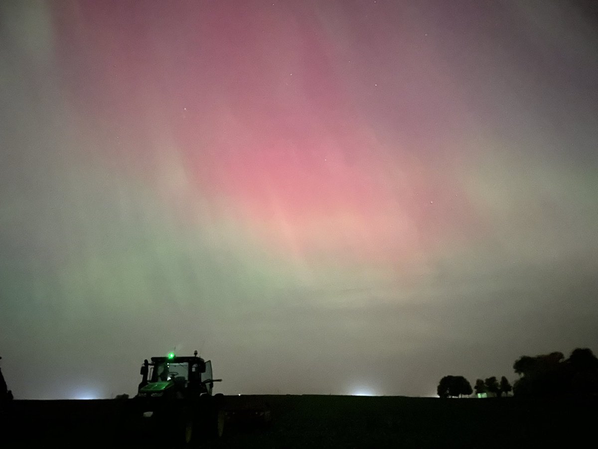BisonTau's tweet photo. What a way to end #beetoff24 https://t.co/ATEImMW9Vi