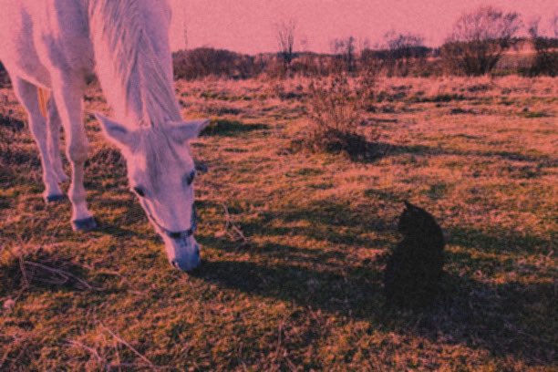ThePalaceRoom's tweet photo. #TPR LOVE ⚠️ | Blanca and Clarissa in new photo 

#PRINNYUP #DeathBecomesHazy ❤️🎠🖤🐈‍⬛ https://t.co/5FVEsg0hgg