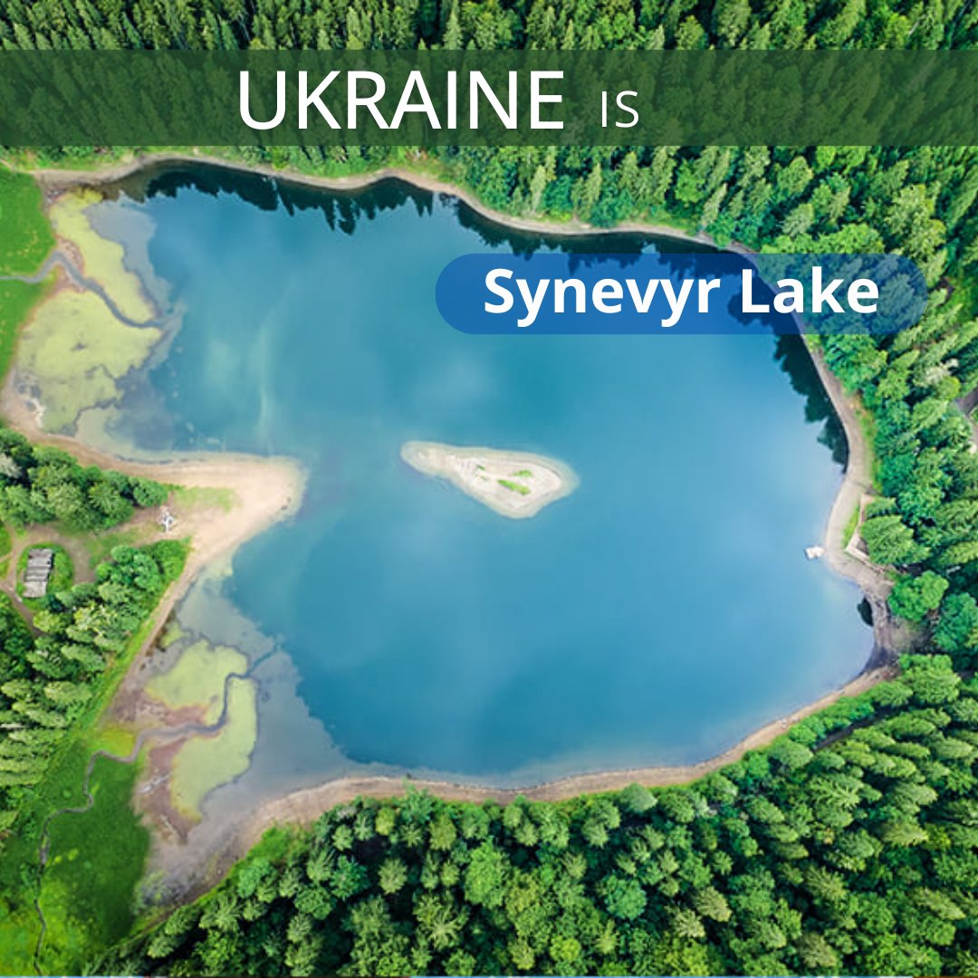 🇺🇦 #Synevyr is the largest and deepest alpine lake in #Ukraine, formed 10-11 thousand years ago as a result of an earthquake. The lake's flora and fauna are diverse, with about 90 species of plants listed in the Red Book of Ukraine growing in the coastal zone.