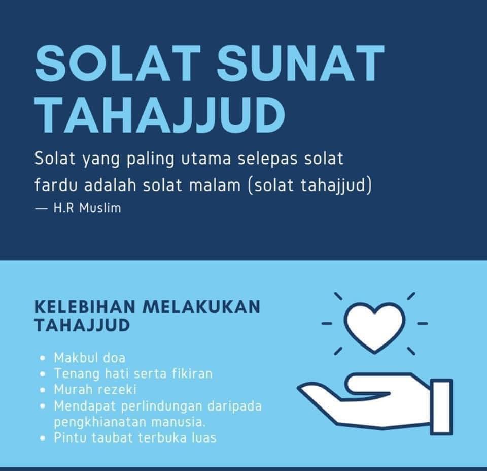 kimi 🦖 tweet media