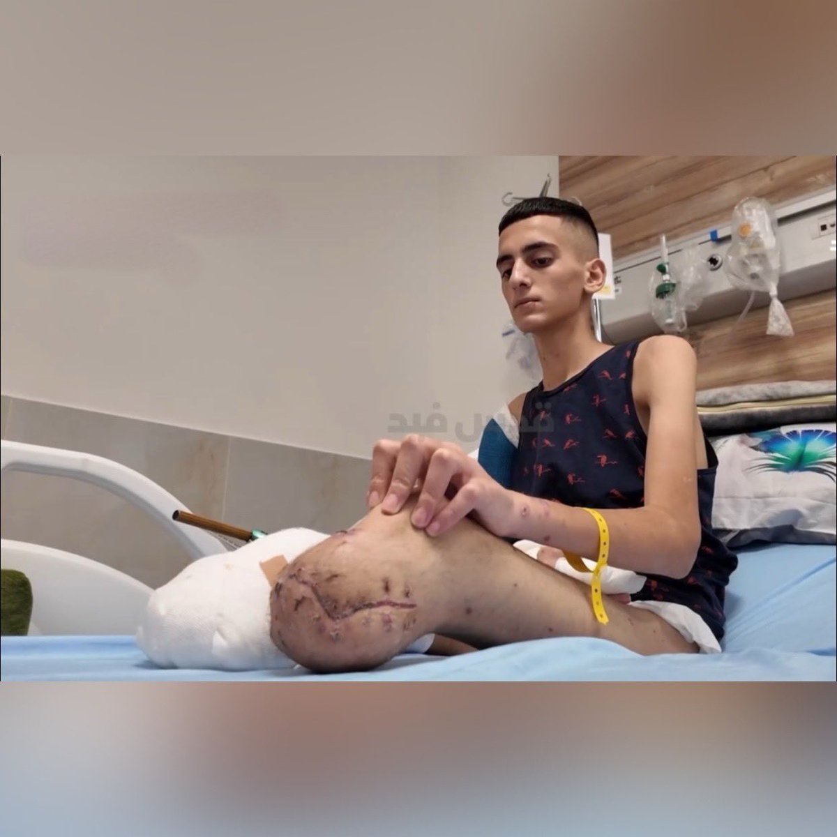 TIMES OF GAZA tweet media