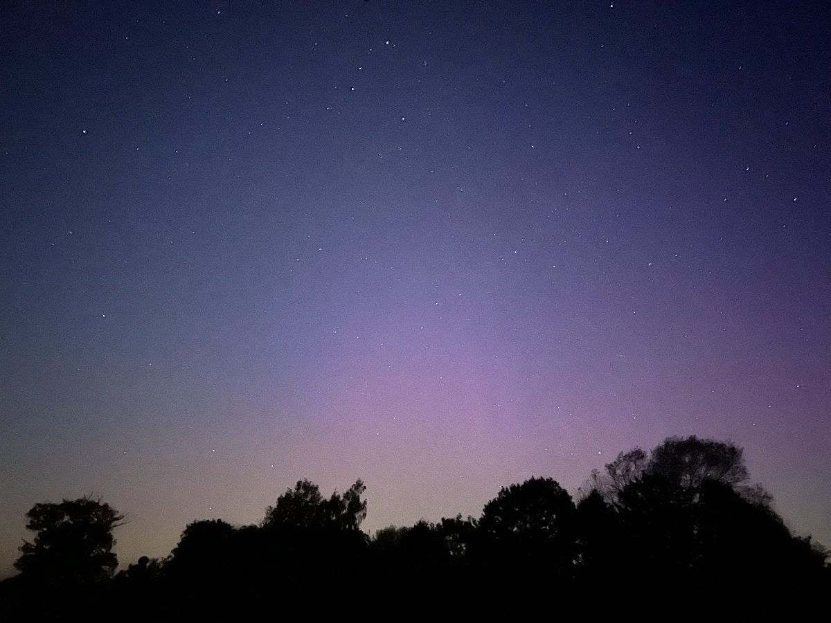 JasonUtting's tweet image. Still happening in Norfolk just before sunrise @chunder10 #Auroraborealis #aurorauk