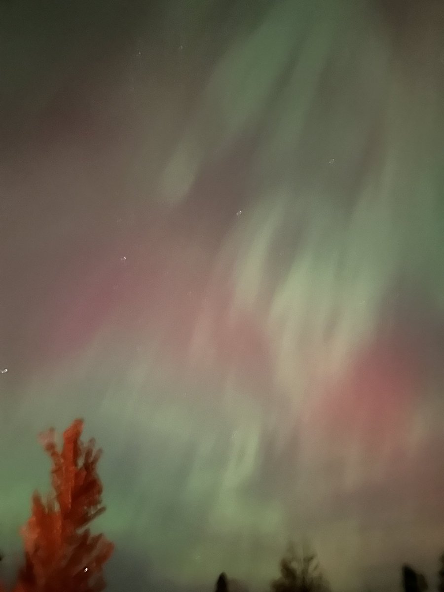 Joe Rogers tweet media