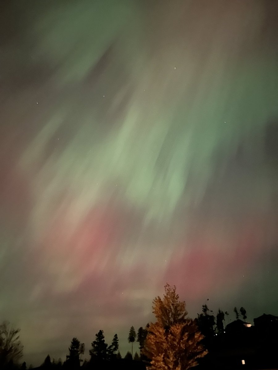 Joe Rogers tweet media