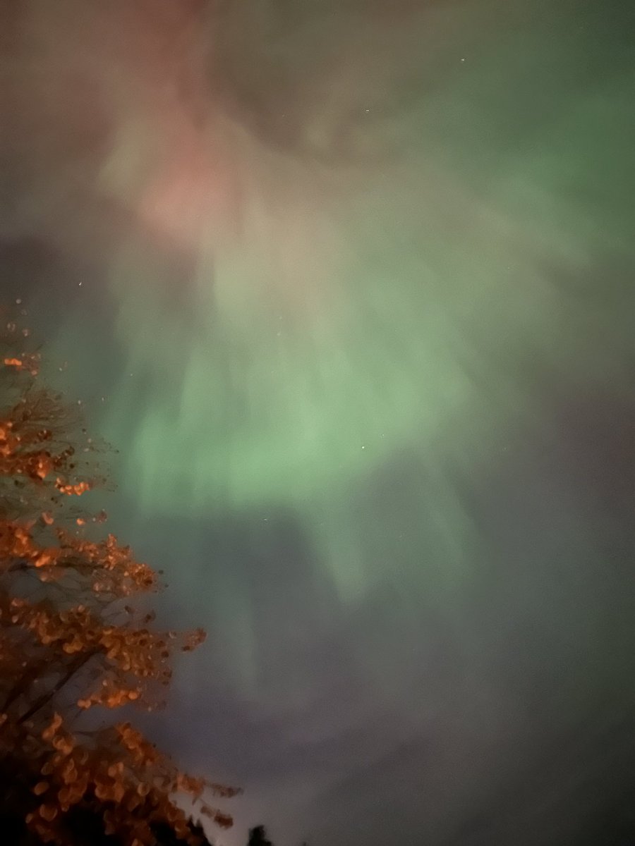 Joe Rogers tweet media