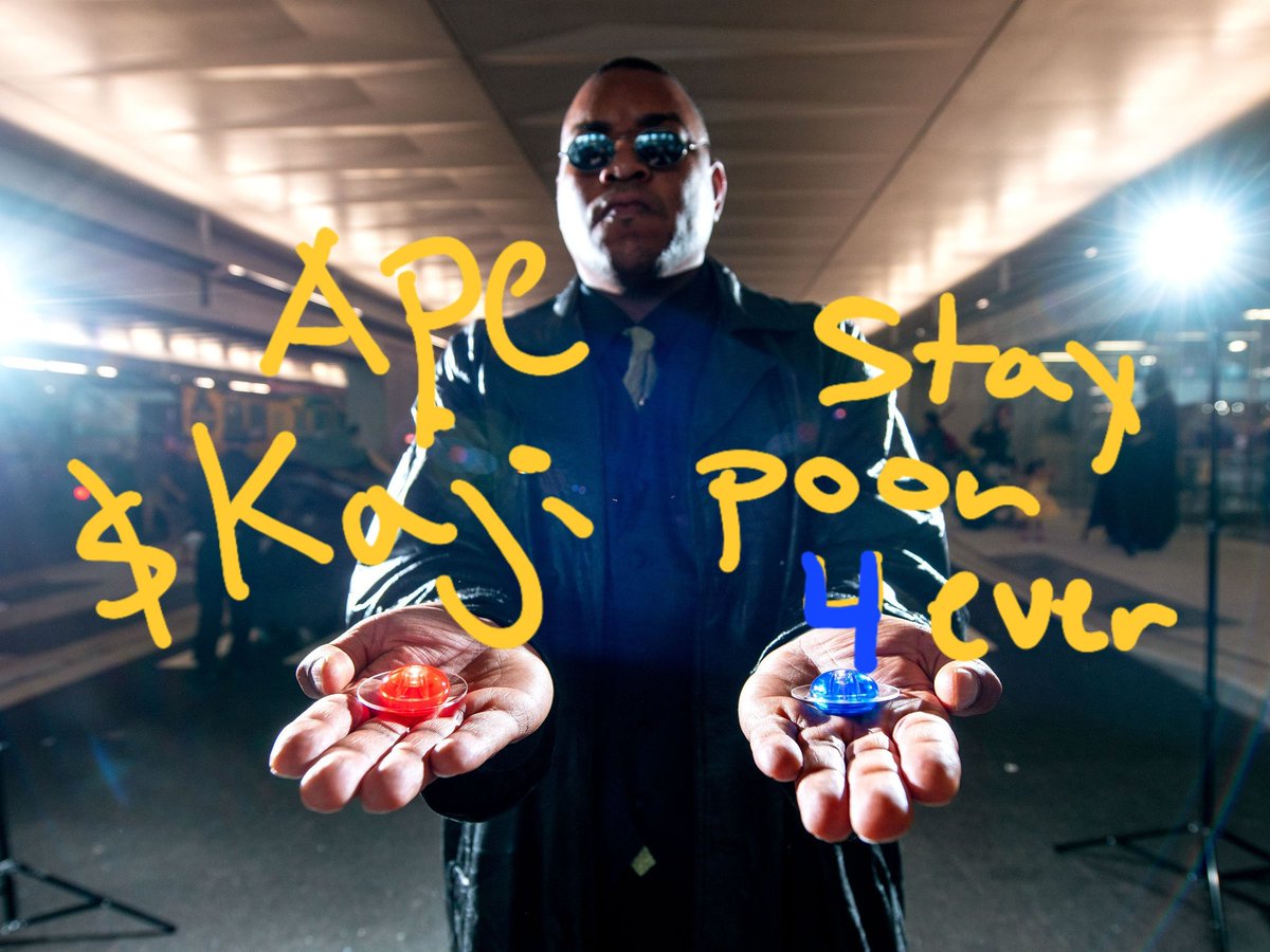 2-D ☁️ tweet media