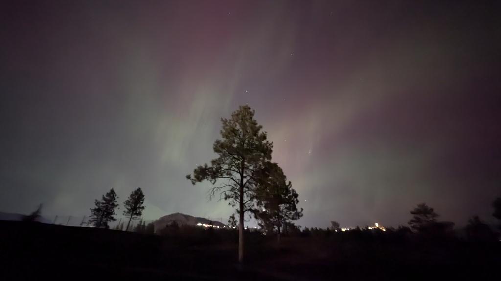 Sandra Spencer tweet media