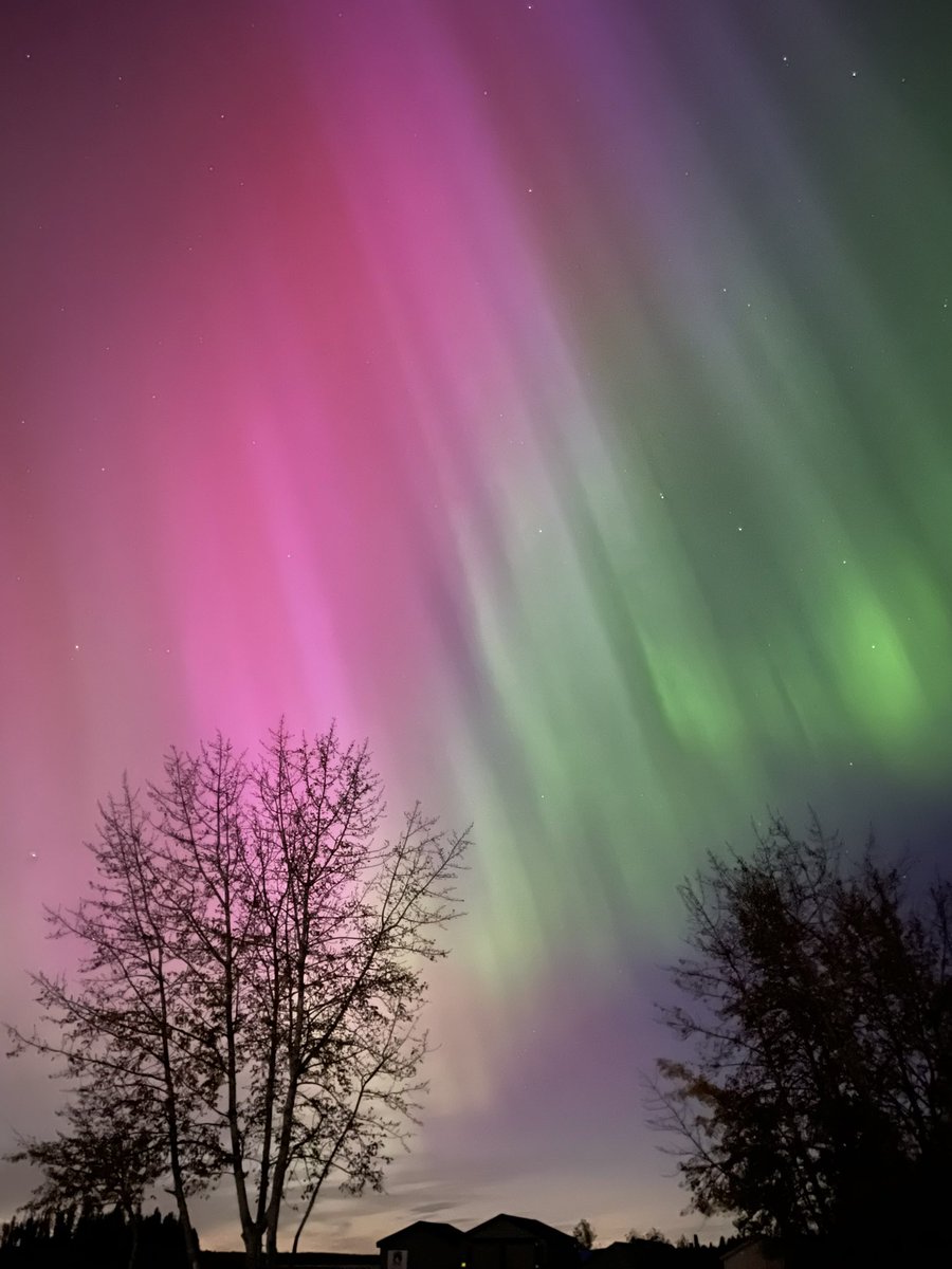 CairistineLili's tweet photo. These beauties tonight at Elk Island National Park and the video in Edmonton, Alberta…  😘

#Auroraborealis #northernlights https://t.co/oXAYDeN7n5