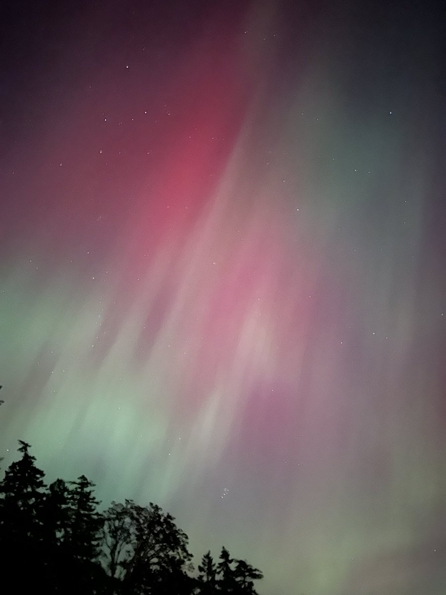 ChefMedic's tweet image. Never seen them red in person before