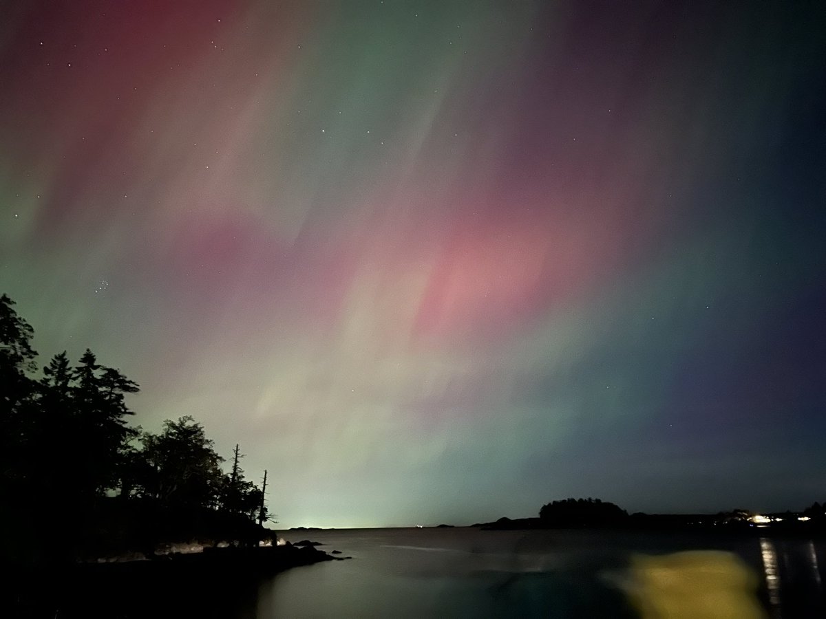 ChefMedic's tweet image. Never seen them red in person before