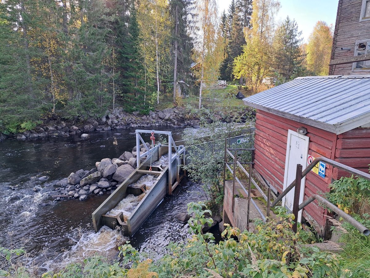 Voimalohen opintomatka Ruotsiin tuotti hyödyllistä tietoa erilaisten kalatieratkaisujen toimivuudesta. Saamiensa oppien avulla Voimalohi kehittää vesivoimayhtiöiden <a href="/KemijokiOy/">Kemijoki Oy</a> <a href="/PVOVesivoima/">PVO-Vesivoima</a> vapaaehtoisia vaelluskalojen palauttamistoimia. Lue lisää: bit.ly/3BG4oQk