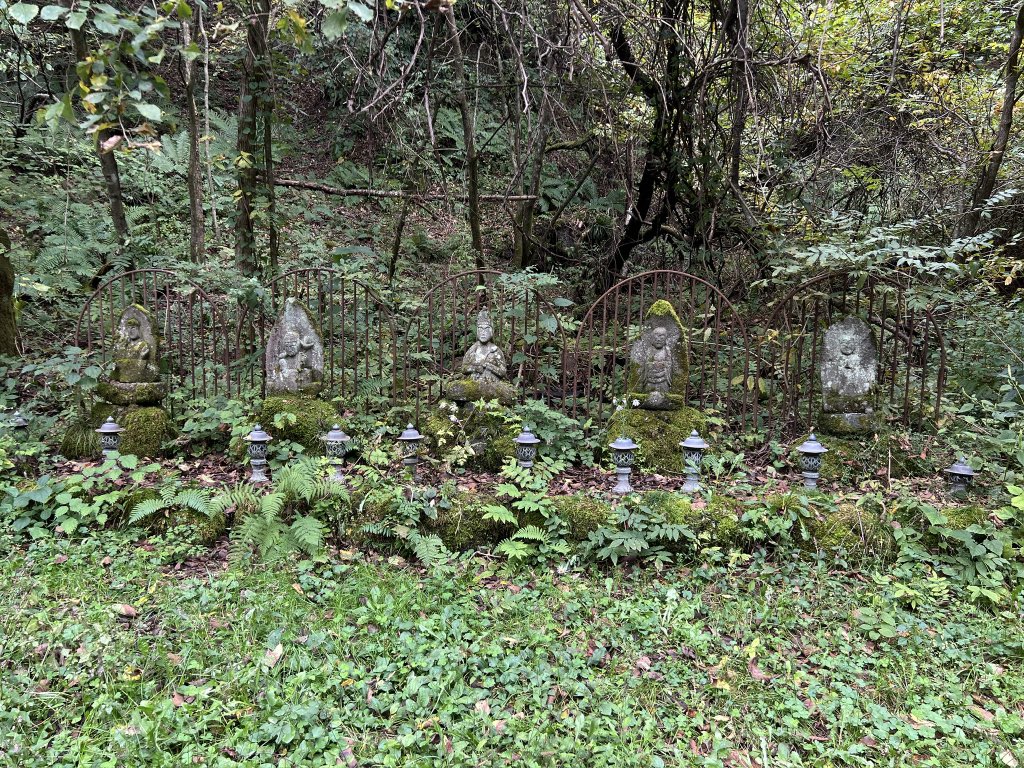 אמרנו סליחות.