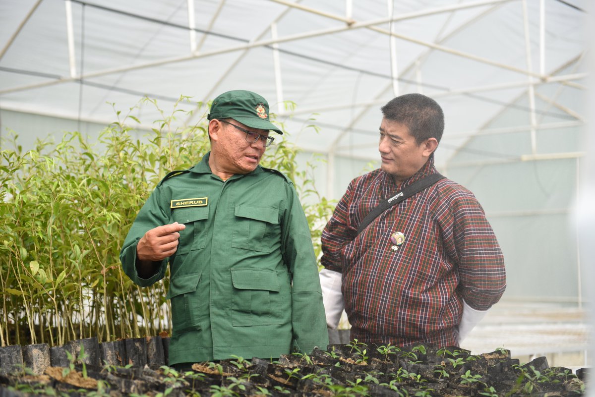 WWFBhutan's tweet photo. A nursery specializing in high-value timber & non-wood forestry products was inaugurated today in Gelephu to enhance livelihoods of communities in high conservation value areas. The nursery is part of WWF ๐ง๐น & #RGoB's #LivingLandscapes project supported by @iki_germany. https://t.co/akDLOxa9gS