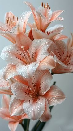 Aa_ban1's tweet image. 🔥#TM_VIP
🔥#DinastíaMilenials
🏆 @Lea_Dhai
@AlmonzerShaker
✨@Nayla_Em

@macketh74 
@Smar6354
@Aa_ban1
@MNPTi1 
✨@1FirstJesus
👑✨@FIRSTGODISLOVE 
✨@sitaravirgo 
👑✨@MarcelaErcia 
@Zar_43
@nbea_h
@sdf27242
@ranasilvia63
@nuvisionquestt2
@GuriyaDr32551
@MaddyPersonal1