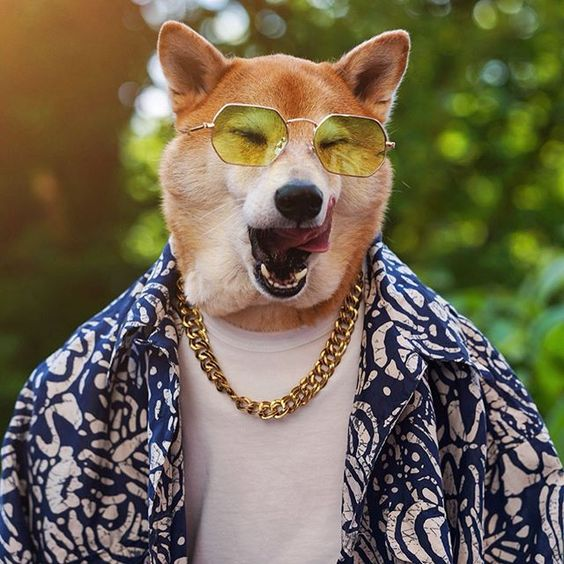 MenWearDog's tweet photo. The concept behind it is so simple https://t.co/81eVUt9Rvn