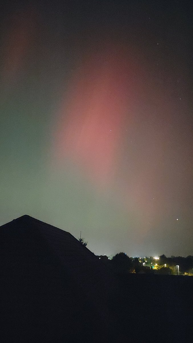 Marco Peccianti, tweet media