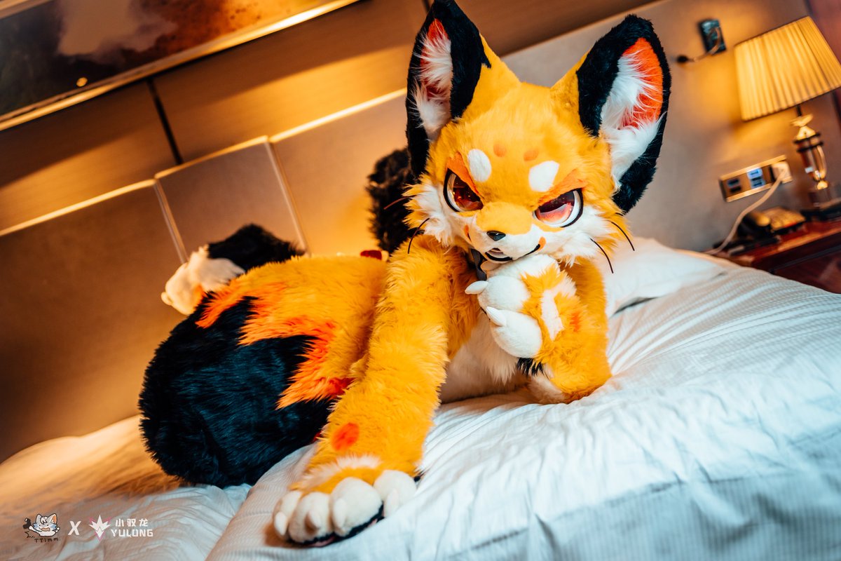 床上等你哦～

📷 💛<a href="/TTimm00445711/">TTimm</a> &amp; <a href="/YuLong_QWQ/">馭龍</a> 💛

#FursuitFriday #GaoGao #FURRY