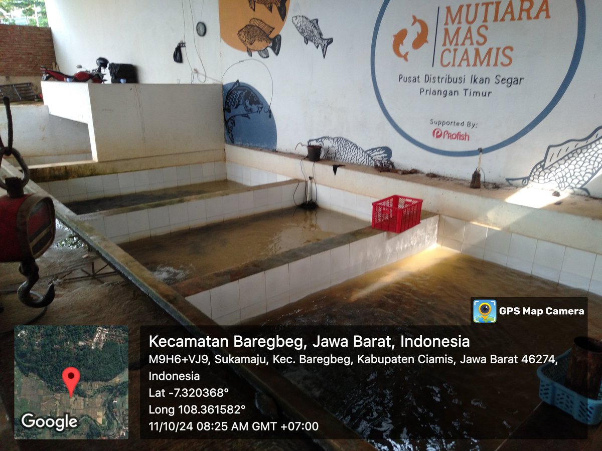 Abihasna tweet media