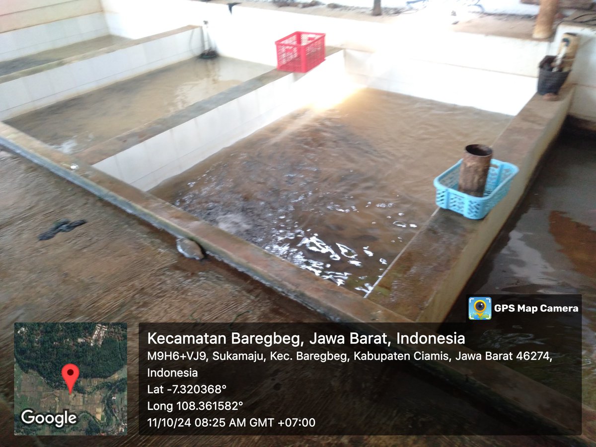 Abihasna tweet media